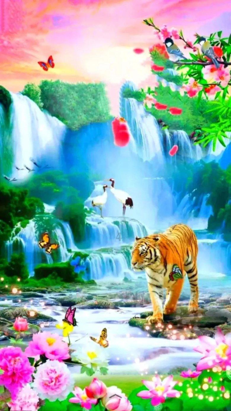 救援花栗鼠