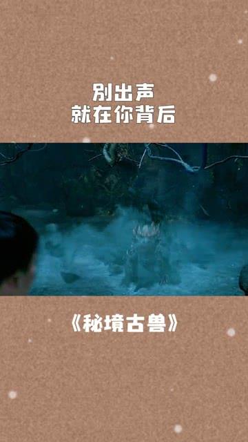 集邮者的收藏