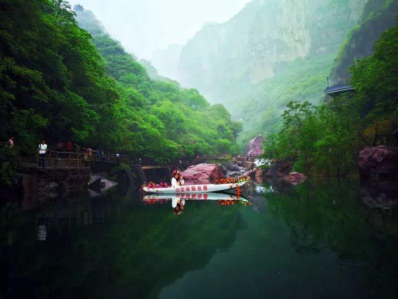 可爱啄木鸟逃脱