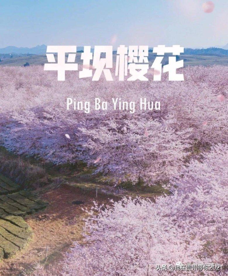 奥森弗里