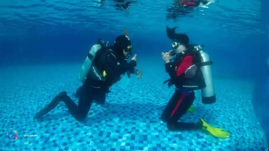首发2nm芯片!苹果A19 Pro逐渐浮出水面,你会买单吗?