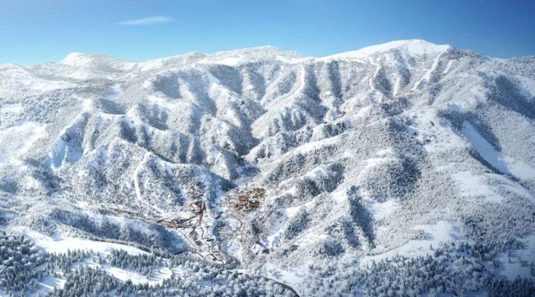 生意社:1月22日山东地区碳酸二甲酯市场行情