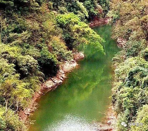 篮球运动员营救